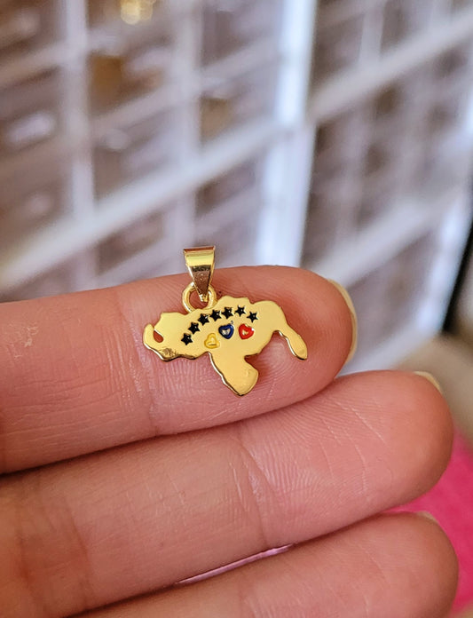 Mapa Venezuela colores