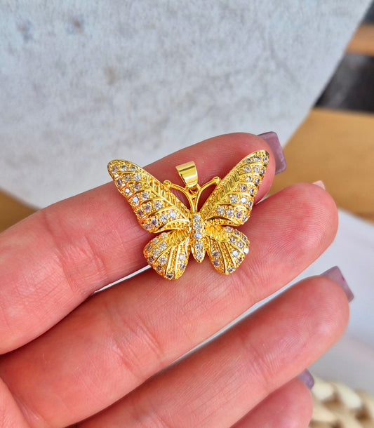 Mariposa brillante con portadije