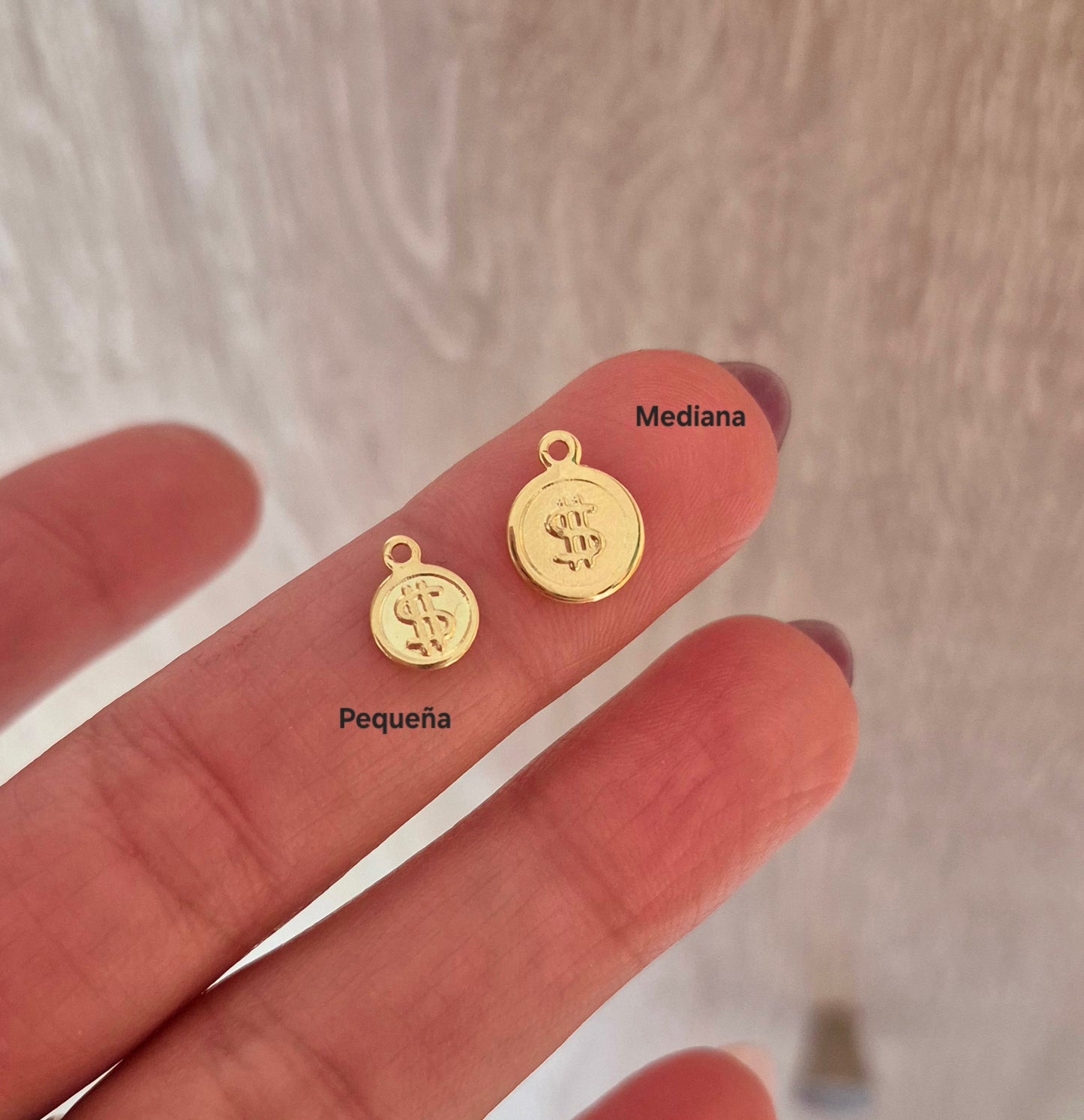 Moneda dólar