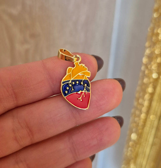 Corazón anatómico Venezuela